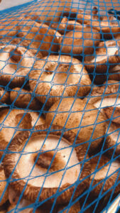 {"eid":"509996932878710","cameraposition":1}