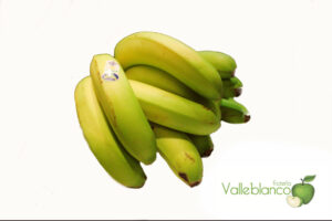 platano canarias